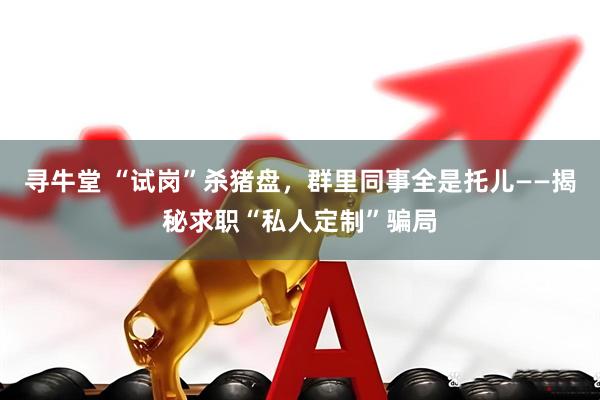寻牛堂 “试岗”杀猪盘，群里同事全是托儿——揭秘求职“私人定制”骗局