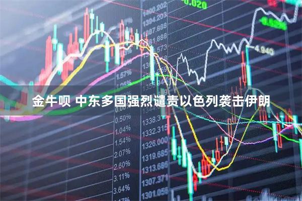 金牛呗 中东多国强烈谴责以色列袭击伊朗