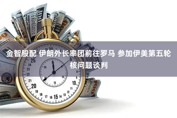 金智股配 伊朗外长率团前往罗马 参加伊美第五轮核问题谈判