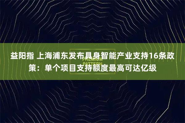 益阳指 上海浦东发布具身智能产业支持16条政策：单个项目支持额度最高可达亿级