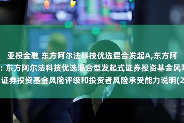 亚投金融 东方阿尔法科技优选混合发起A,东方阿尔法科技优选混合发起C: 东方阿尔法科技优选混合型发起式证券投资基金风险评级和投资者风险承受能力说明(2025年5月)