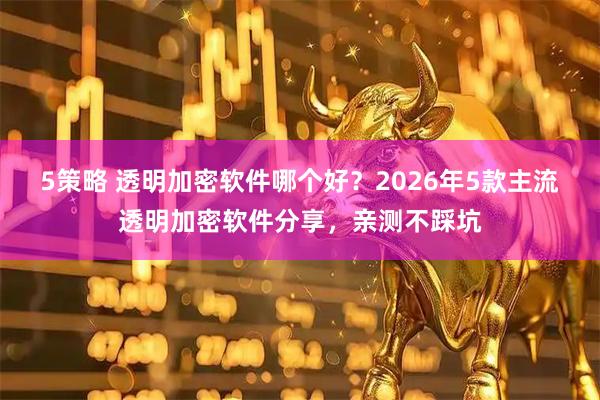 5策略 透明加密软件哪个好？2026年5款主流透明加密软件分享，亲测不踩坑