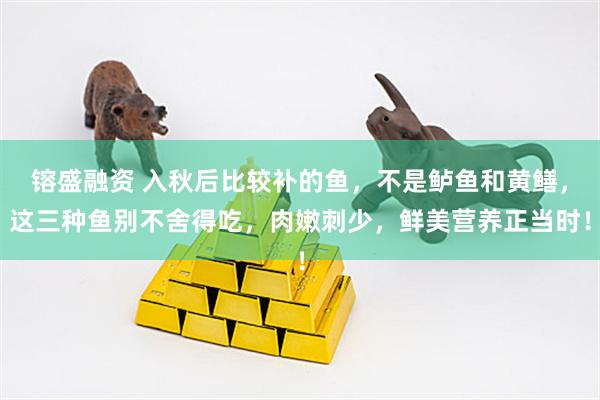 镕盛融资 入秋后比较补的鱼，不是鲈鱼和黄鳝，这三种鱼别不舍得吃，肉嫩刺少，鲜美营养正当时！